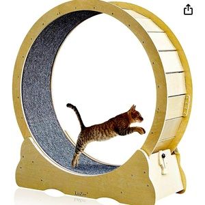 Cat exercise wheel.